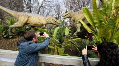 amnwDINO190412_photos