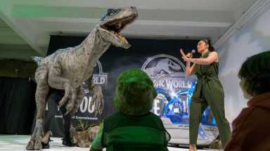 amnwDINO190404_photos