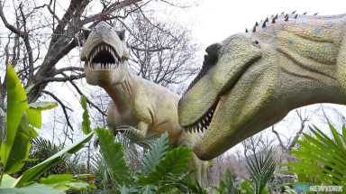 Watch the dinosaurs at the Bronx Zoo roar