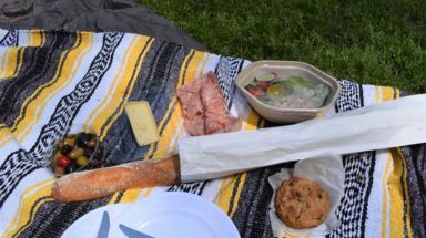 amnwpicnic