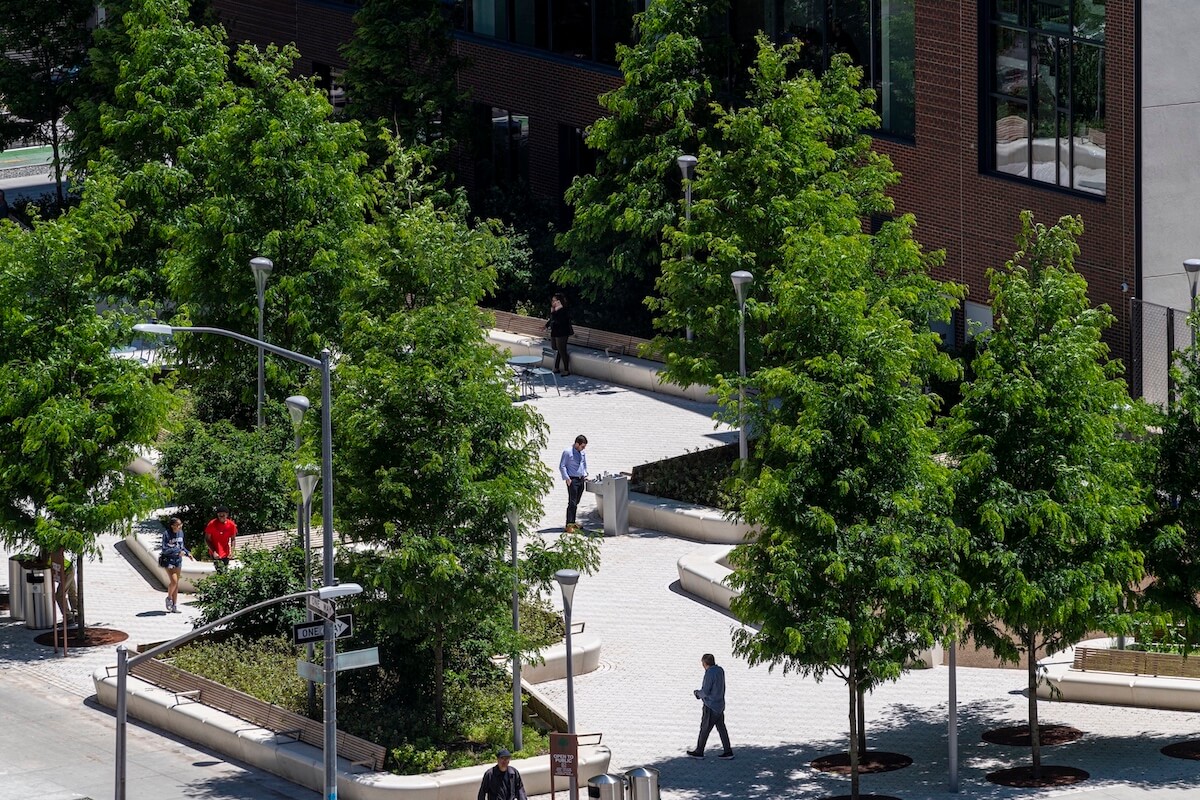 New park opens at Essex Crossing on L.E.S. 1