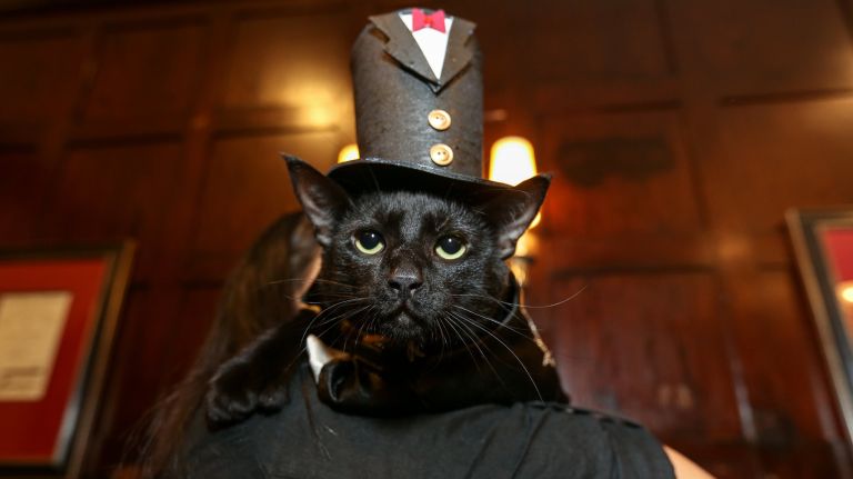 amnwCAT190614_photos