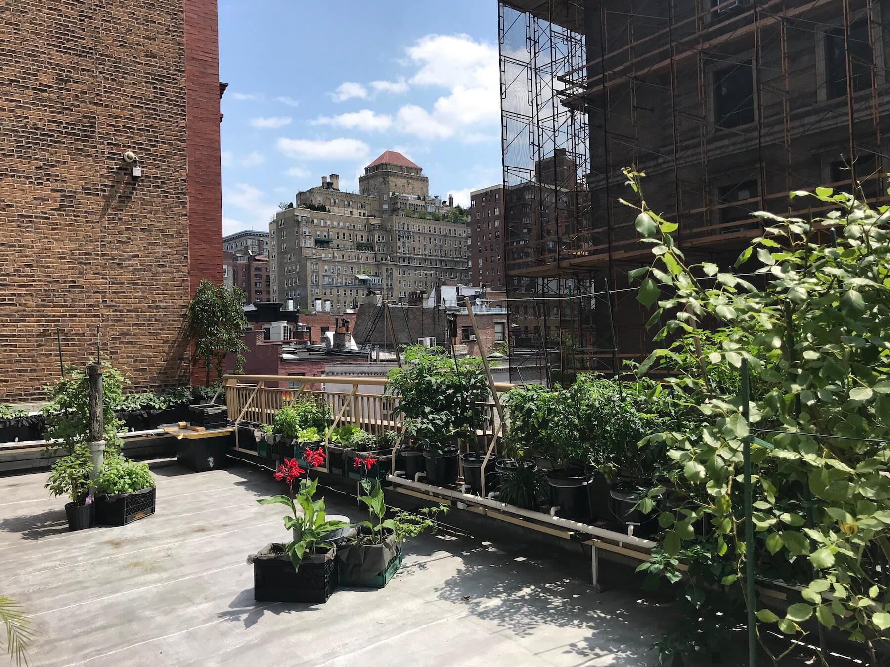 The hotel's rooftop garden at the corner of Waverly Place and MacDougal St.