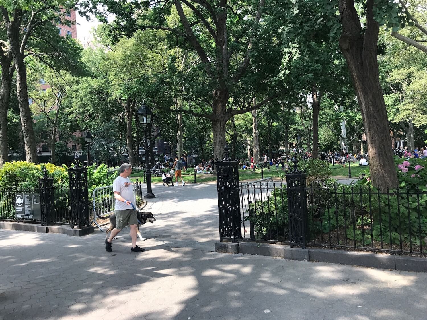 Bones to be reburied in Washington Sq. Park 1