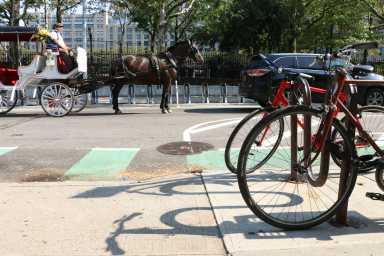 Horses_09