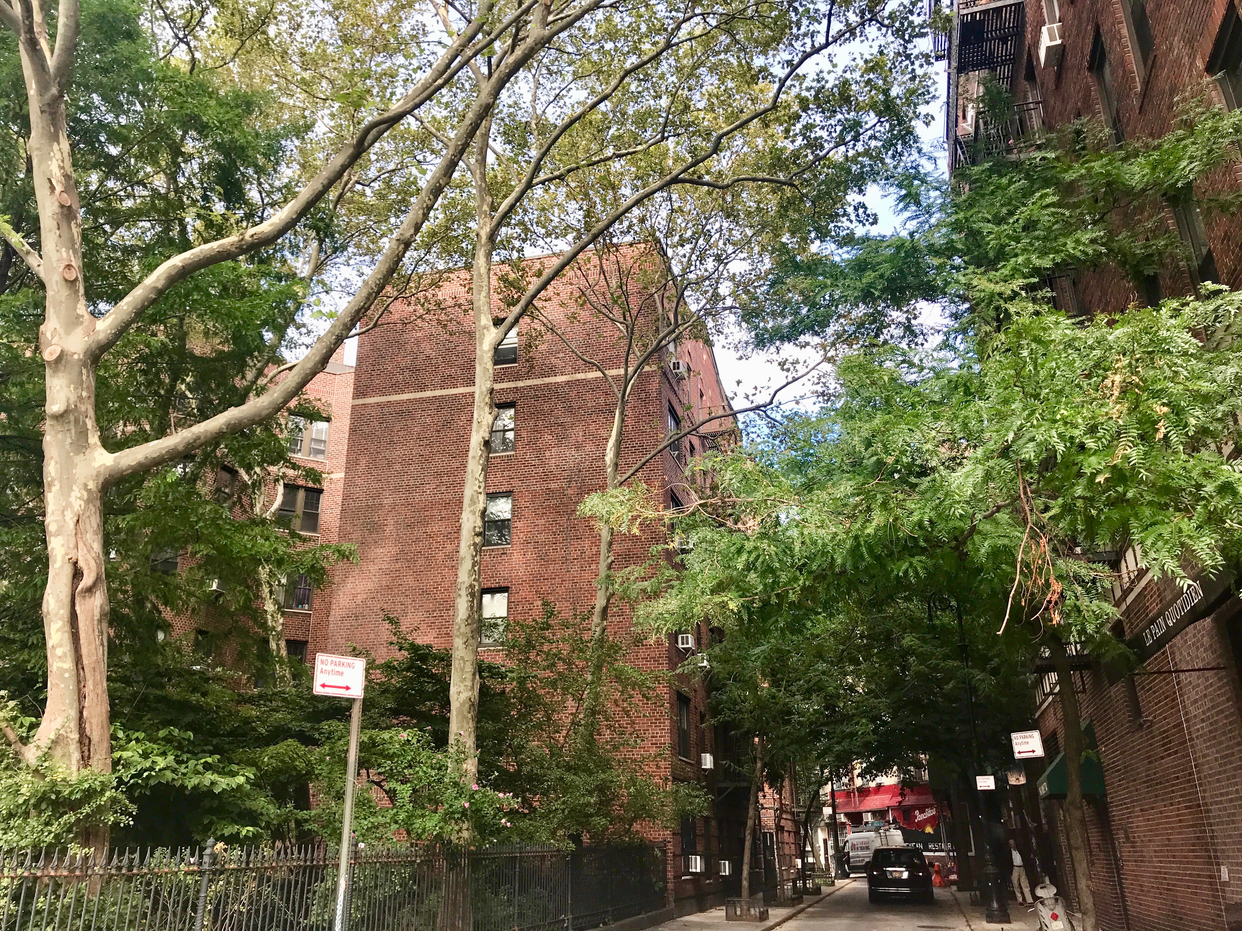 West Village isn't pining for trees, unlike Little Italy: Report 2