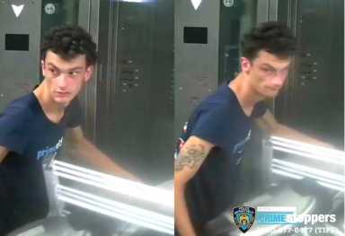 cooker bomb suspect