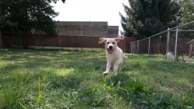 Gil’s Journey: Watch Gil cool off in the kiddie pool