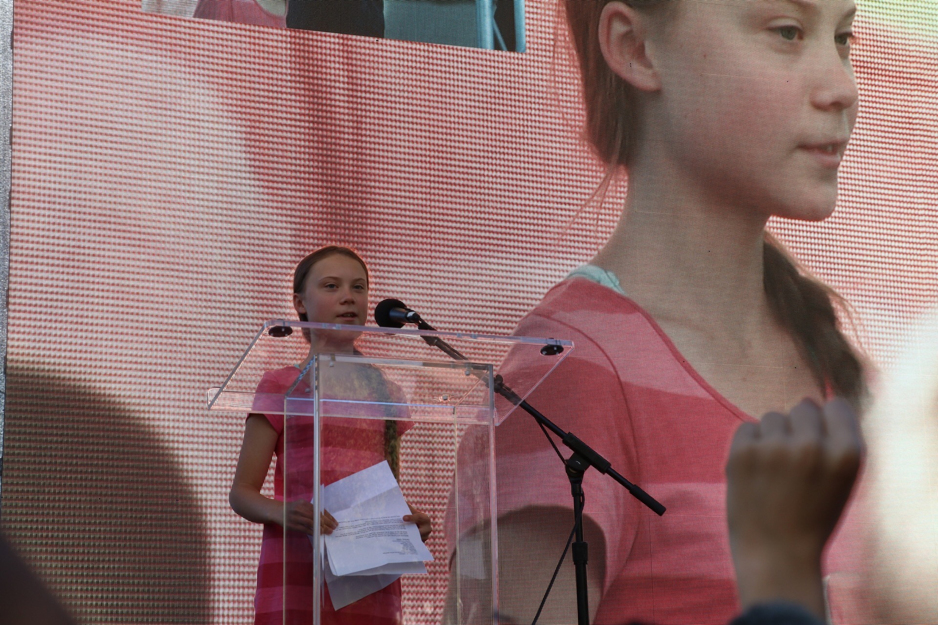 'We will not just stand aside and watch'; Greta Thunberg leads thousands of activists at Climate Strike march in Manhattan 2