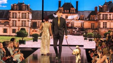 Gil’s Journey: Guide Dog Gil walks NYFW