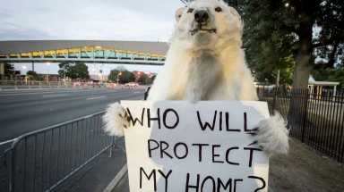 Washington D.C. resident Bill Snape, who represents The Center for Biological Diversity, dressed as a polar bear trying to bring attention to climate change outside the presidential debate at Hofstra University on Sept. 26, 2016.