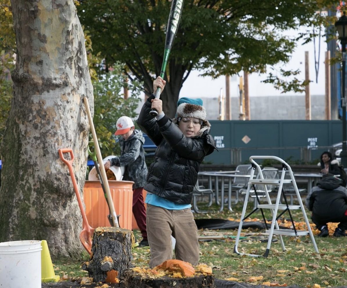 (Instagram @hudsonriverpark)