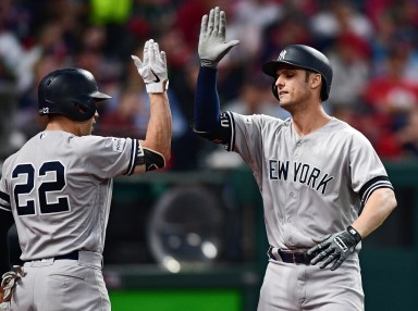 Greg Bird, Jacoby Ellsbury