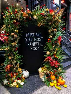 TQ-thanksgiving -9917