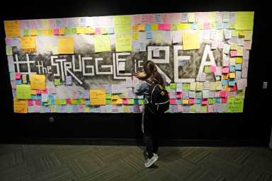 Colleges Mental Health