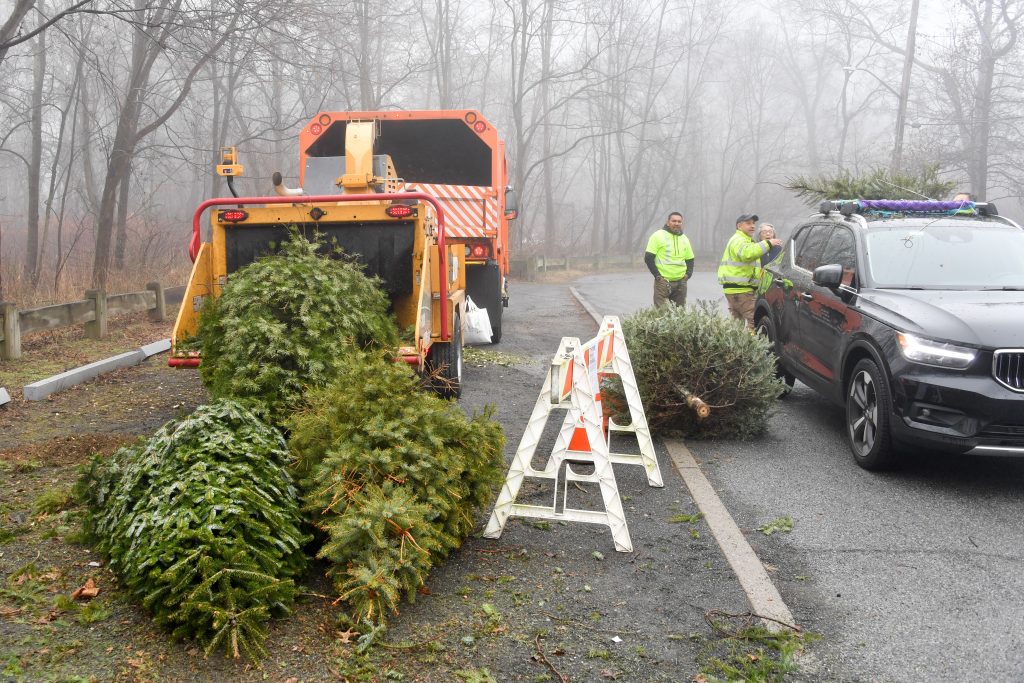 Record number of trees collected in this year’s Parks Mulchfest program 2