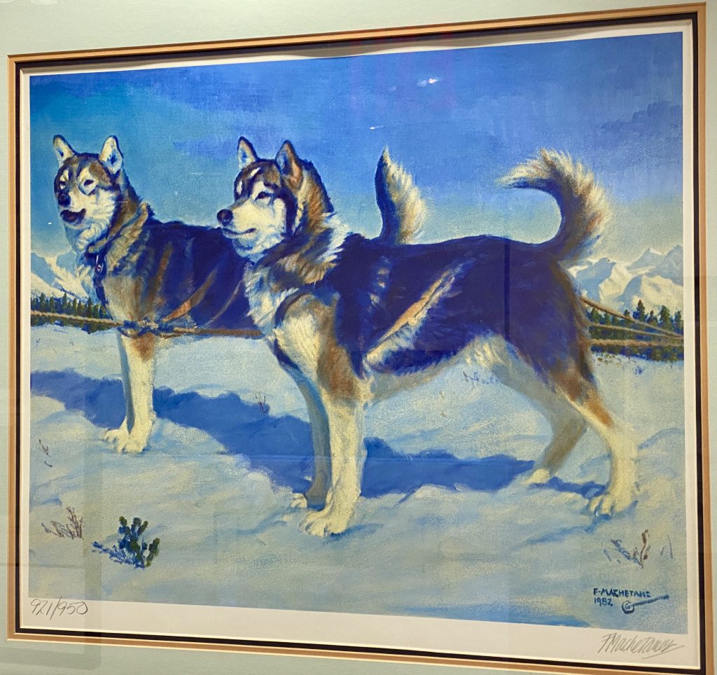 Learn the history of sled dogs at a Manhattan exhibition 2