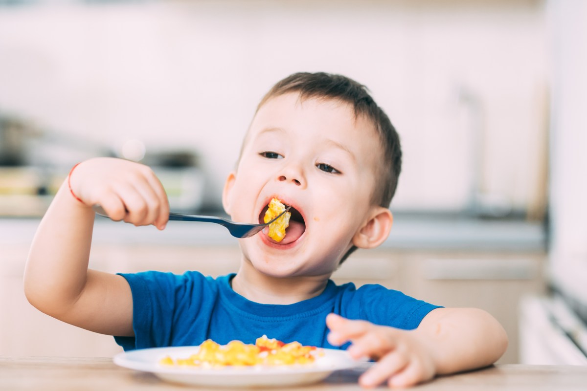 a child in a t-shirt in the kitchen eating an omelet, a fork