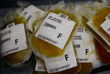 Plasma bags are pictured at the Interregional Transfusion CRS in Bern