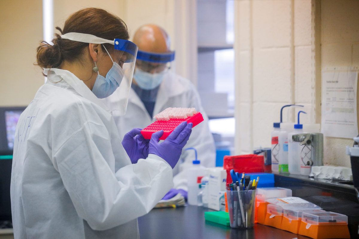 FILE PHOTO: Scientists work in a lab testing COVID-19 samples at New York City’s health department, during the outbreak of the coronavirus disease (COVID-19) in New York