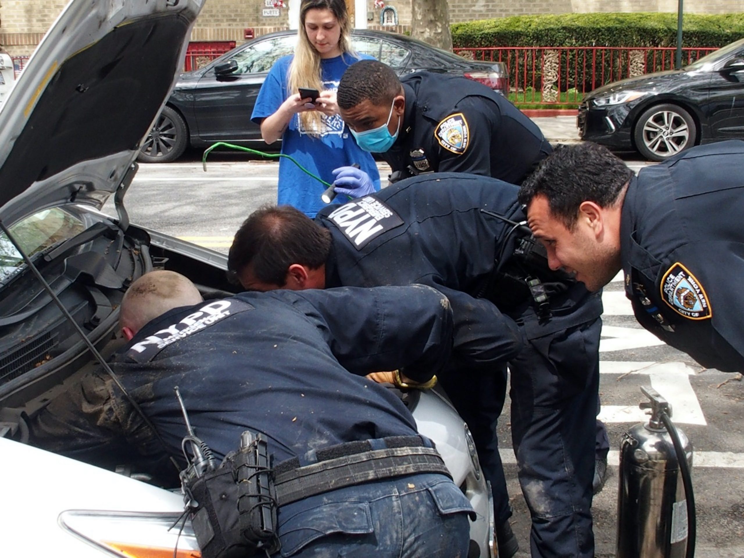 A 'purrfect' end to car cat-astrophe in Brooklyn as cops save trapped feline 2