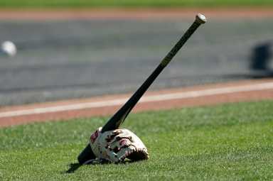 Generic baseball glove bat
