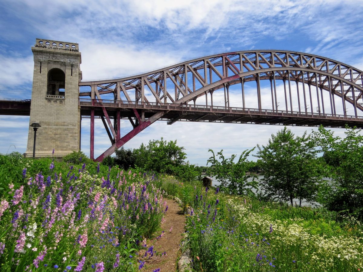 Randall’s Island Park Alliance – hell gate meadow