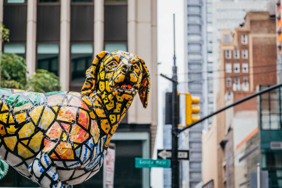 Doggy Bags NYC