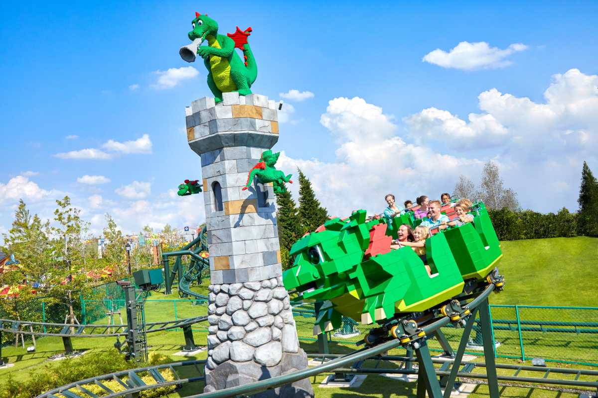 Dragon Rider School