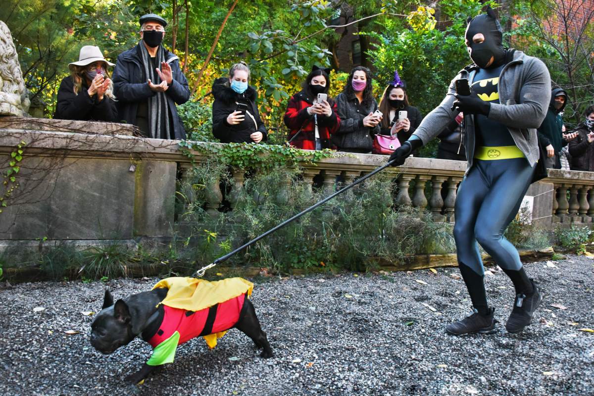 Batman and Robin racing down the runway towards disappointment.