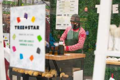 Treestar 2