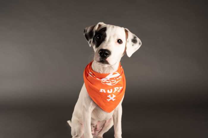 Team Ruff