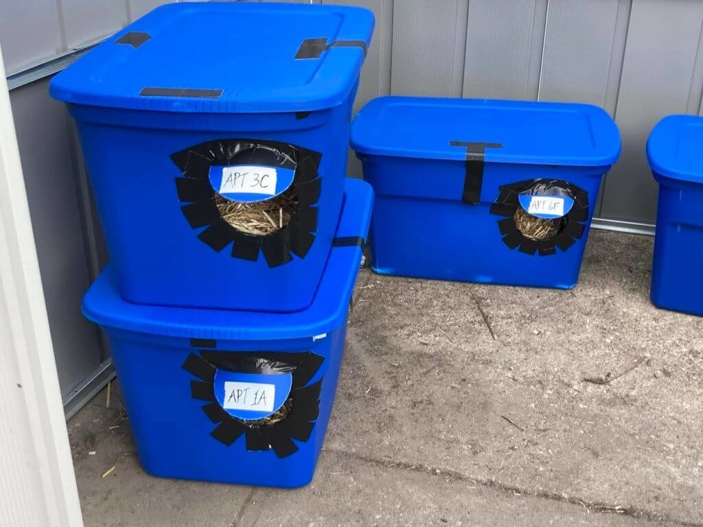 Brooklyn animal lovers care for feral cat colony at the Columbia Street waterfront 3