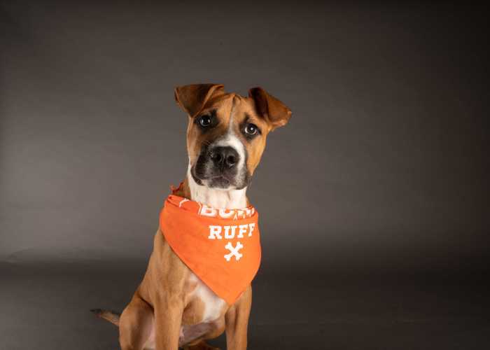 Team Ruff