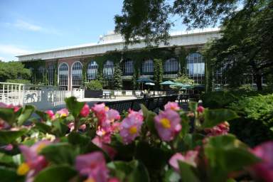 Belmont Stakes Belmont Park