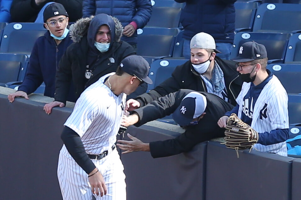 MLB: Toronto Blue Jays at New York Yankees