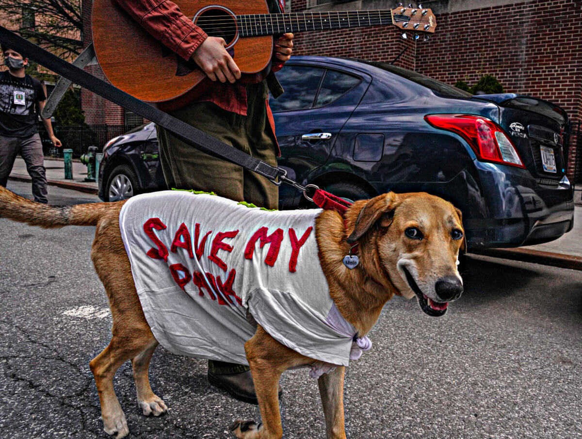 Hundreds march in opposition of the East Side Coastal Resiliency project 5