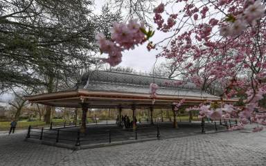 PPA-Concert-Grove-Pavilion-029_c.-Paul-Martinka-1536×961