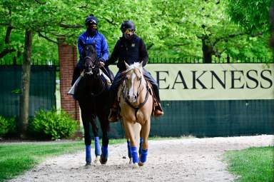 Medina Spirit Preakness