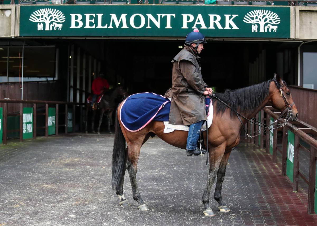 Belmont Stakes