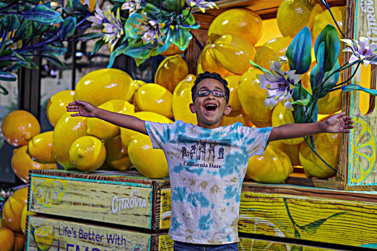 New York's fresh squeeze: A faux lemon forest crops up in Midtown 8