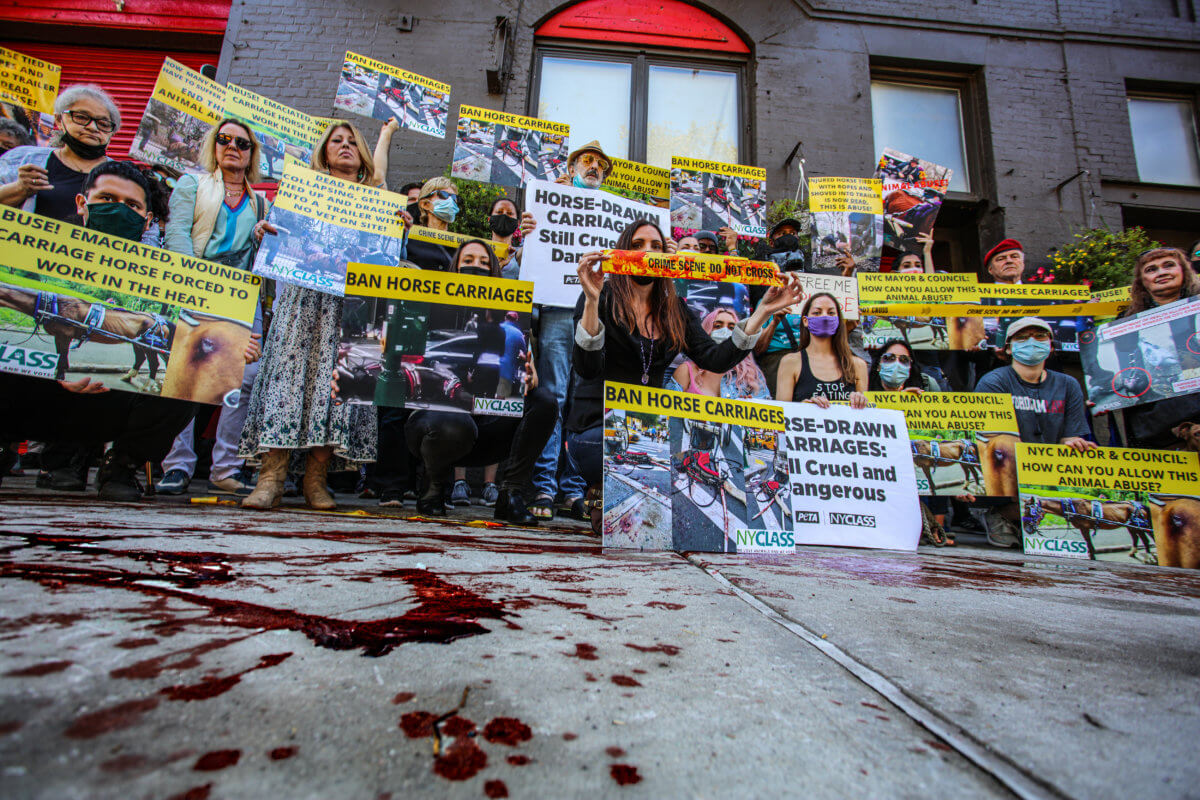 Animal rights advocates raise bloody hell in Midtown over carriage horse collision 10
