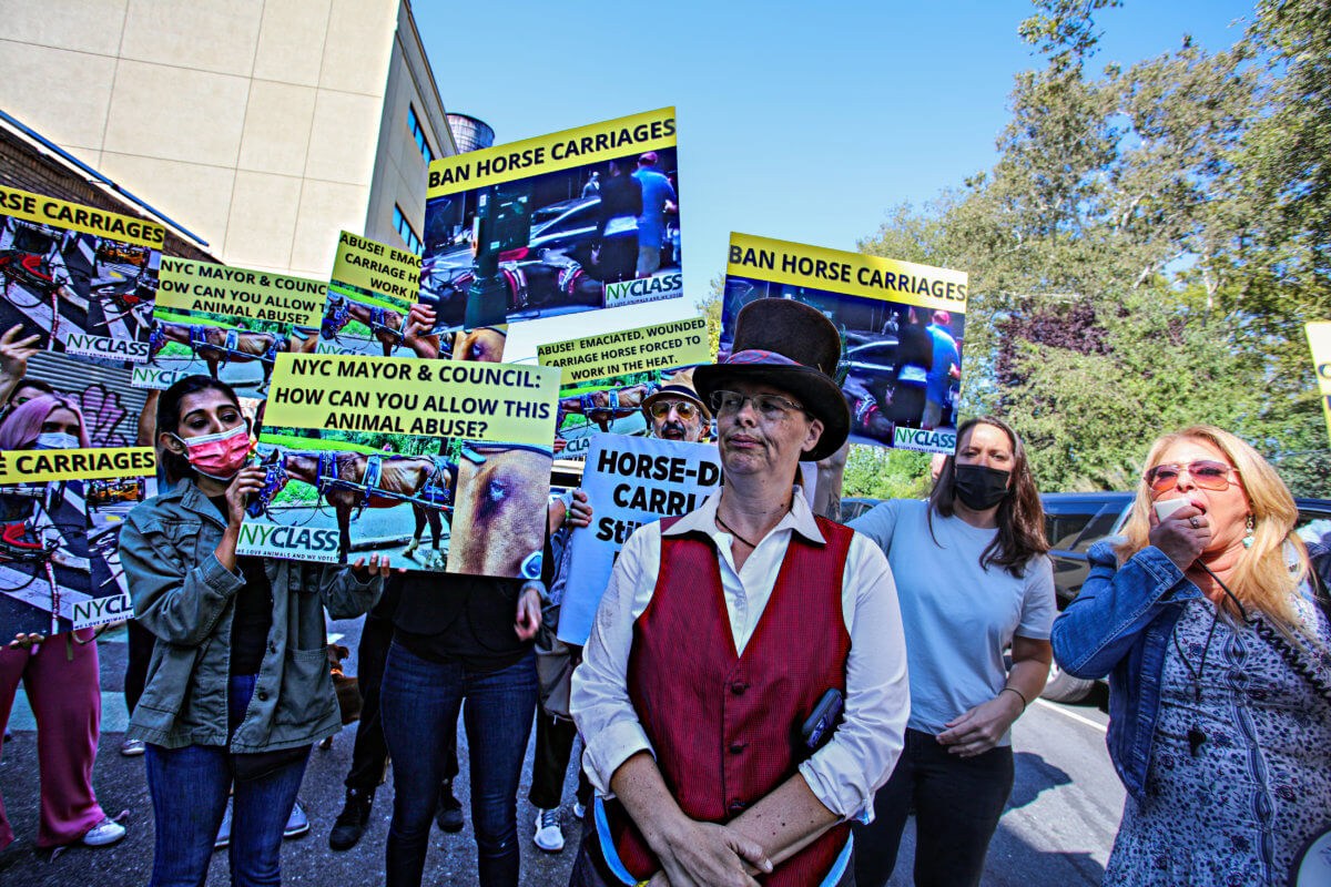 Animal rights advocates raise bloody hell in Midtown over carriage horse collision 13