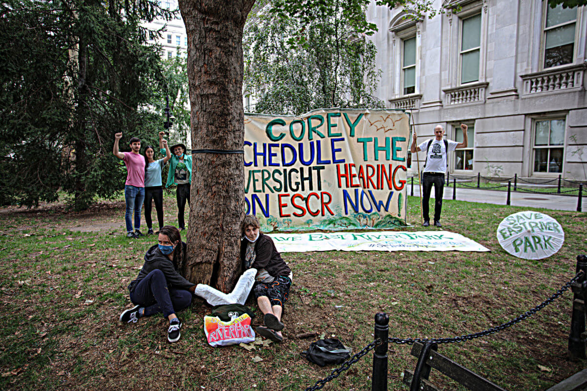 Tree-hugging activists chain themselves at City Hall to protest East River coastal resiliency project 3
