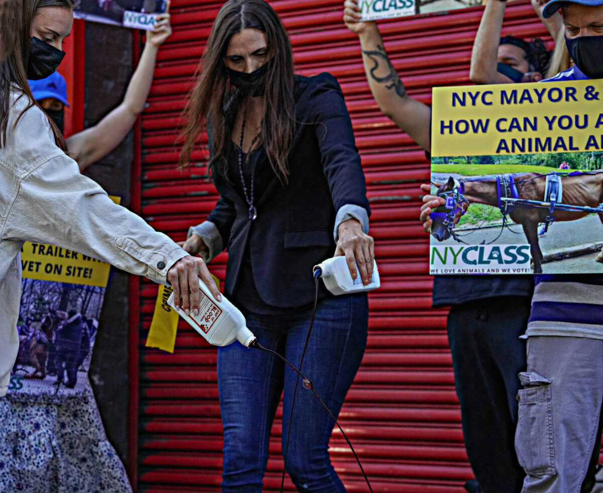 Animal rights advocates raise bloody hell in Midtown over carriage horse collision 9
