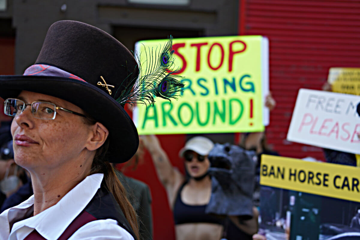 Animal rights advocates raise bloody hell in Midtown over carriage horse collision 12
