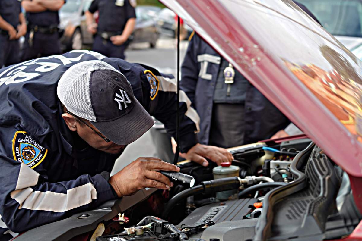EXCLUSIVE: NYPD slams brakes on big Bronx auto theft ring in early-morning raid 13 NYPD officers