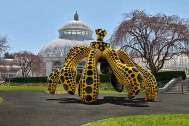 NYBG Kusama Dancing Pumpkin scaled-courtesy- of OTA Fine Arts photo by Robert Benson