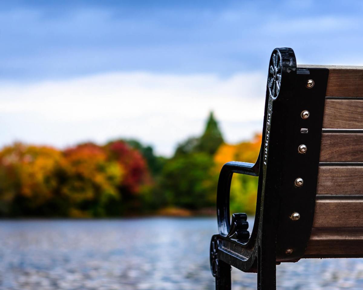 fall bench – credit Discover Long Island (1)