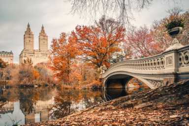 Central Park in the fall